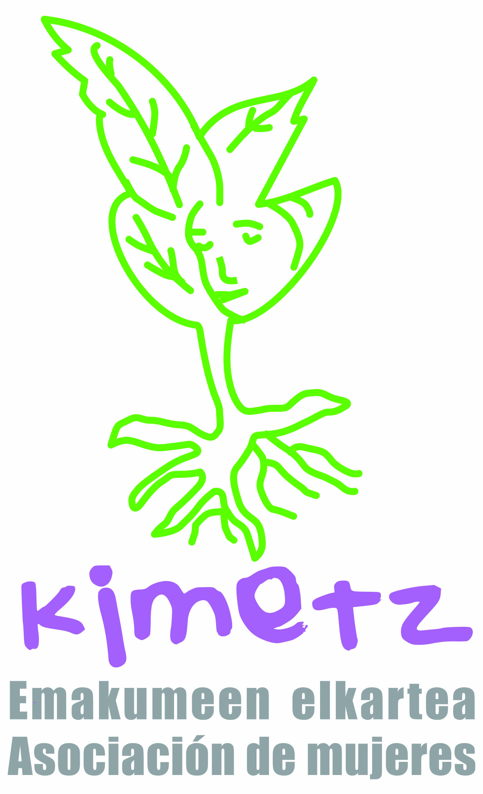 kimetz logo