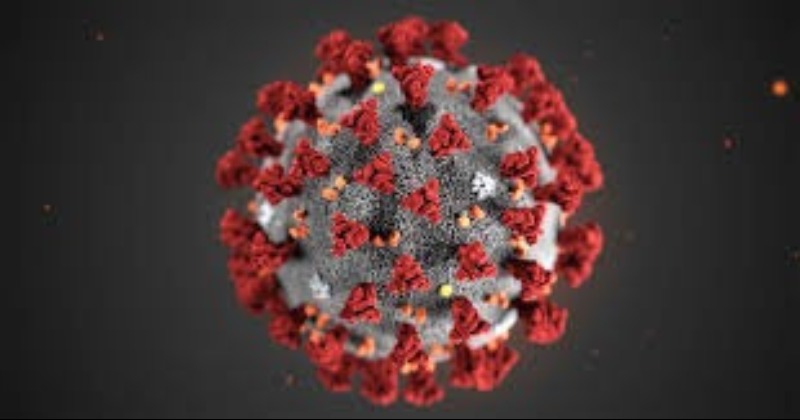 resized image Coronavirus