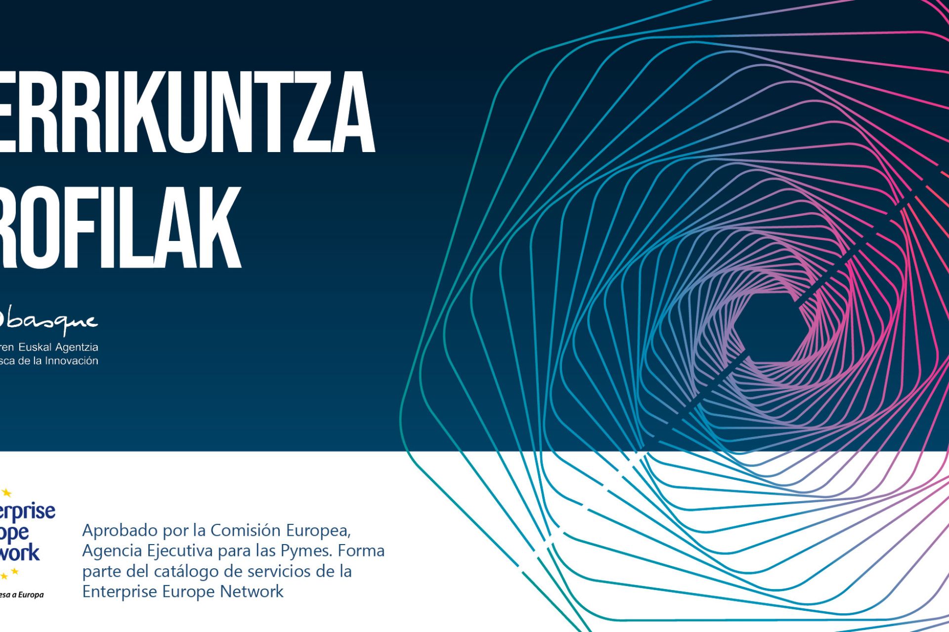 Berrikuntza profilak