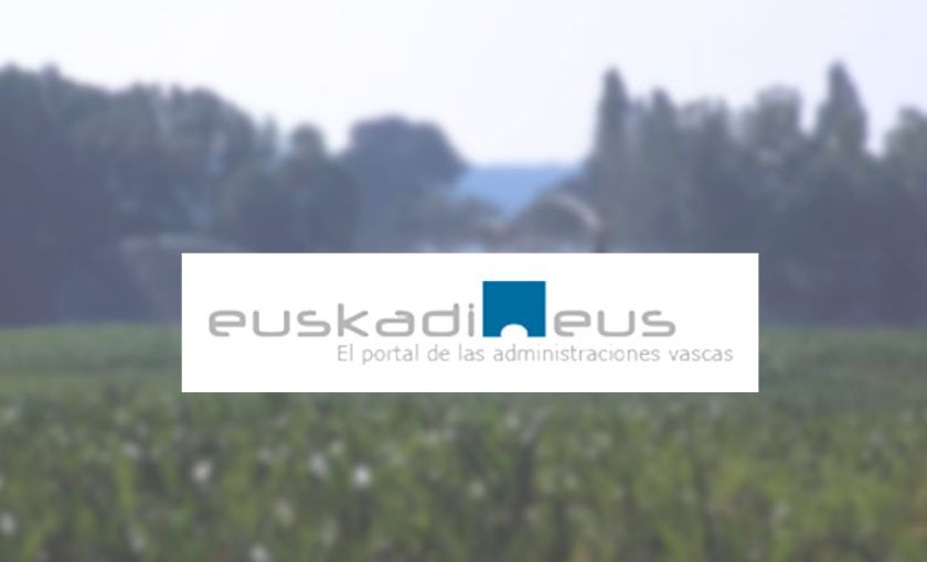 Ayudas destinadas a la Reestructuración y Relanzamiento de Empresas en Crisis