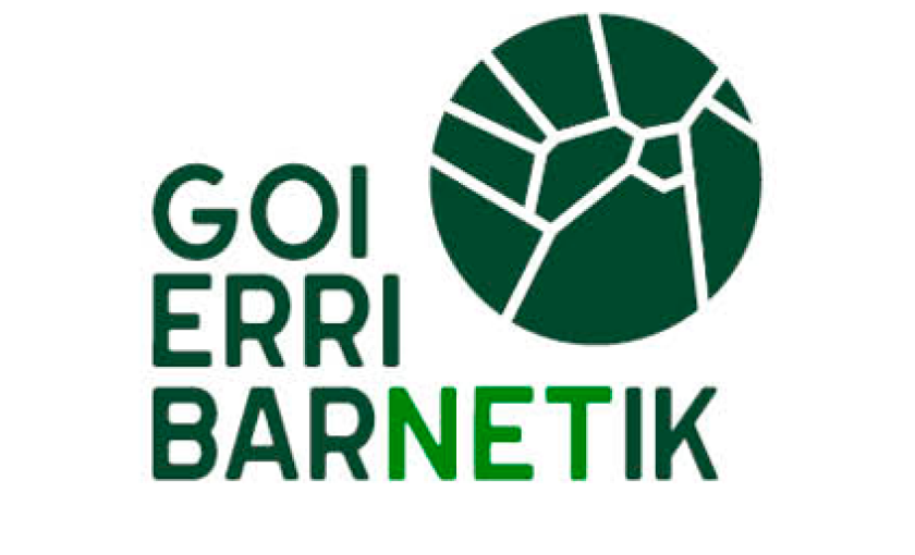 Goierri BarNETik sareak webgunea eta Instagram profila martxan jarri ditu