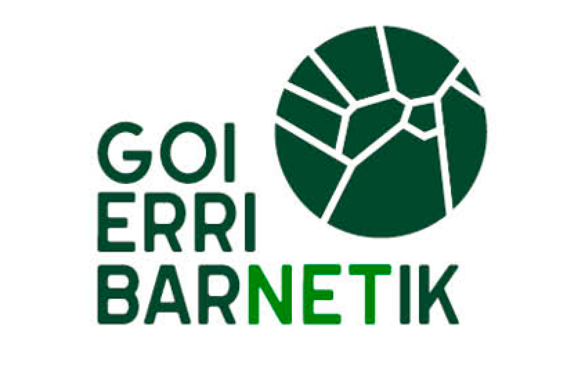 Goierri BarNETik sareak webgunea eta Instagram profila martxan jarri ditu