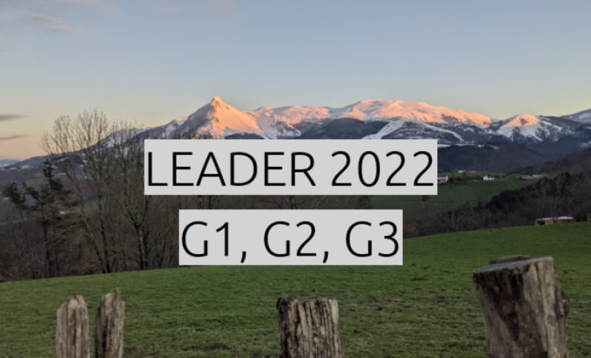 Ayudas Leader 2022
