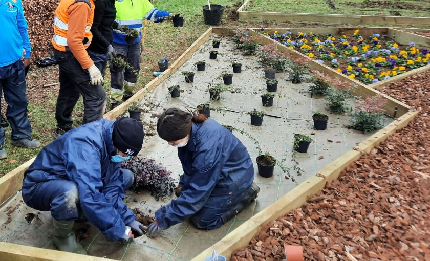 Se abre la convocatoria para las inscripciones al curso de Operaciones para la instalación de jardines y zonas verdes
